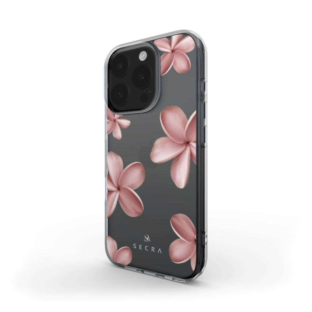 CLEAR CASE