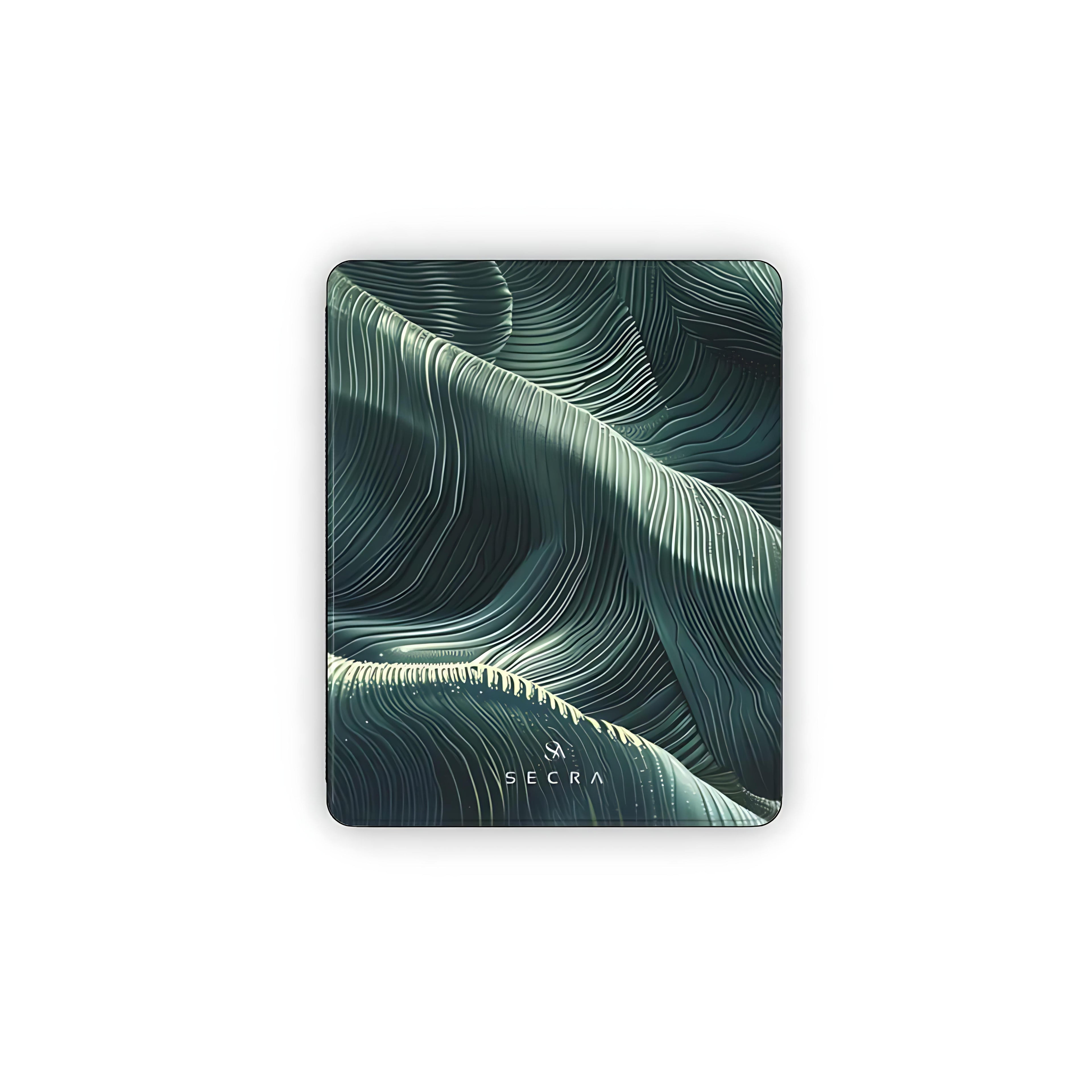 IPAD CASE (VERDALIS)